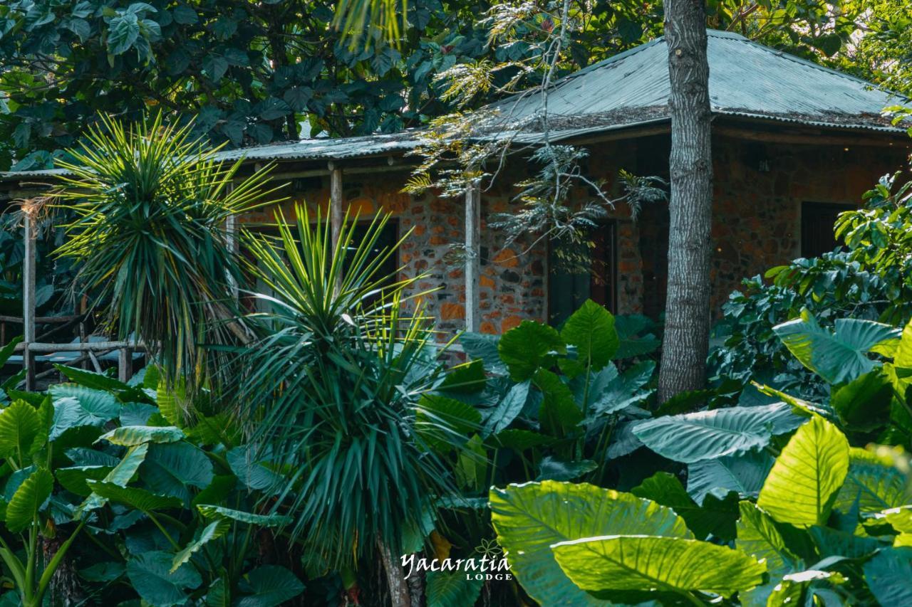 Yacaratia Lodge エル・ソベルビオ エクステリア 写真